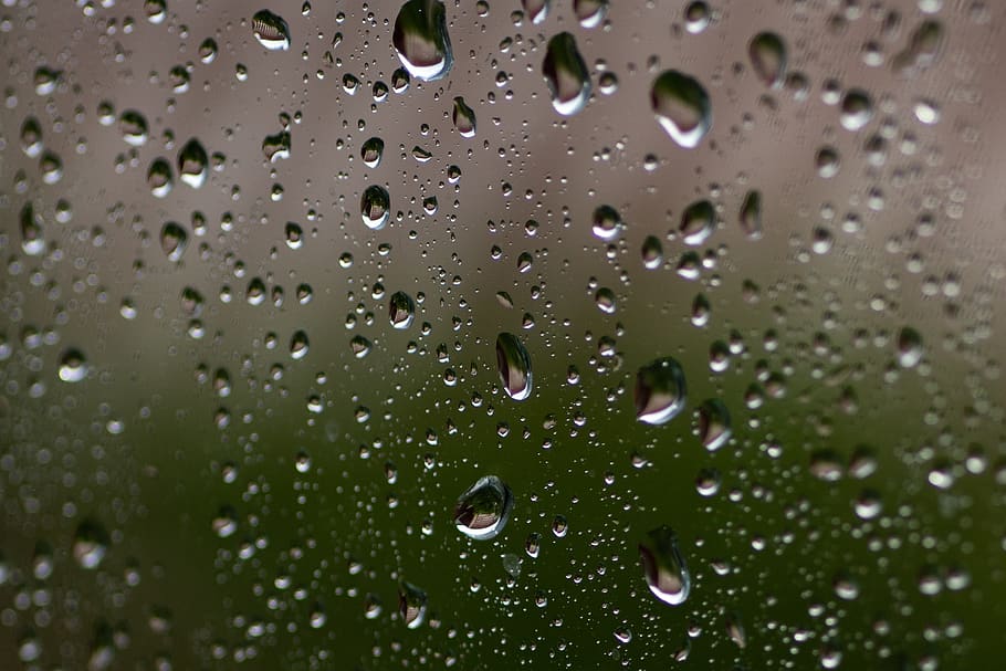 drops, window, rain, glass, rainy, weather, humidity, raindrop, rainy day, pane