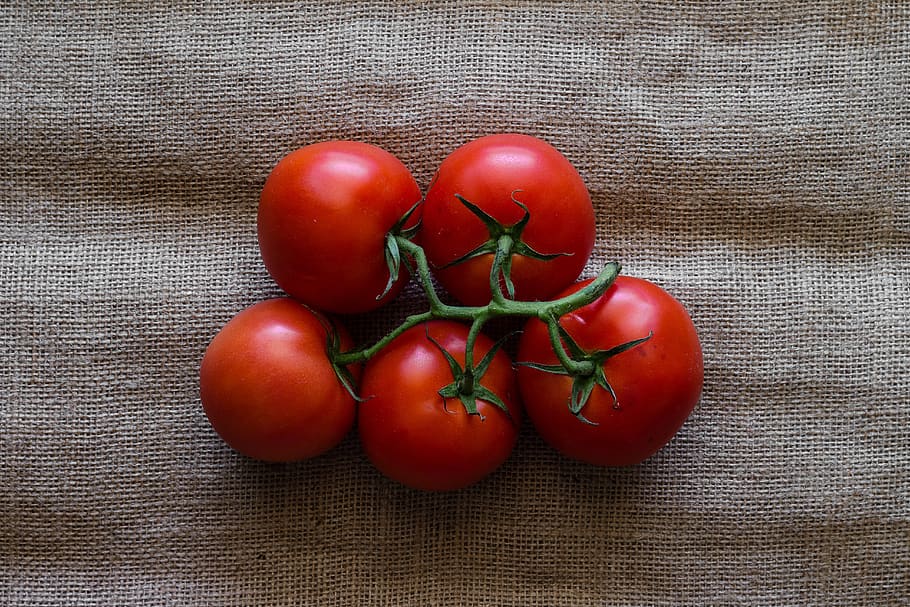 tomate, tomates, comida, fresco, rojo, verduras, comer, saludable, delicioso, nutrición
