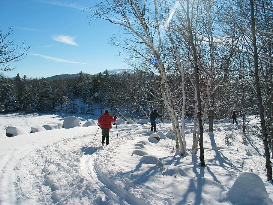 two, person skiing, outdoors, Acadia National Park, Maine, Landscape, acadia national park, maine, winter, snow, ice