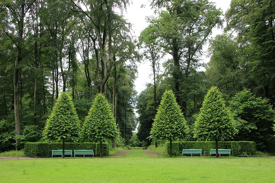 Schlossgarten, green, maintained, germany, park, meadow, garden, castle park, tree, nature