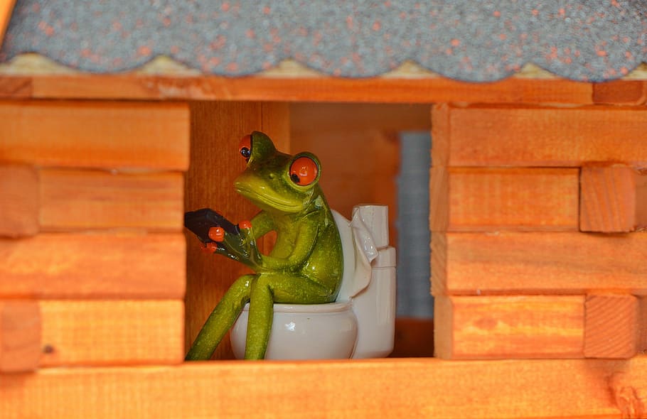 Frog, Mobile, Mobile Phone, Window, Toilet, Loo, frog, wc, funny, session, cute
