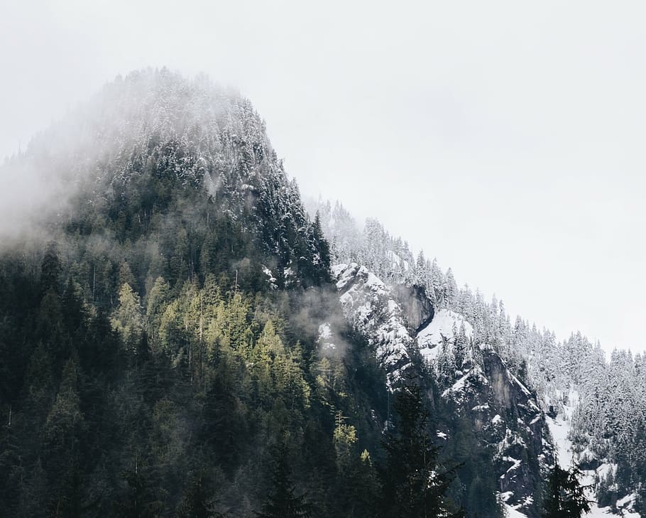 山, 覆われた, 雪, 空中, 写真, 丘, 寒さ, 冬, 木, 森