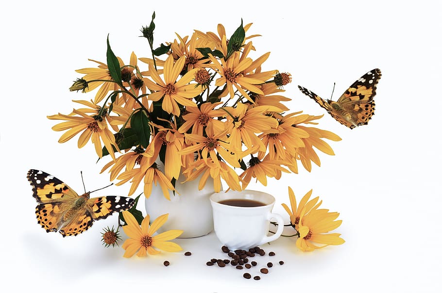 bouquet, flower, yellow, jerusalem artichoke, coffee, drink, butterflies, white, background, isolated