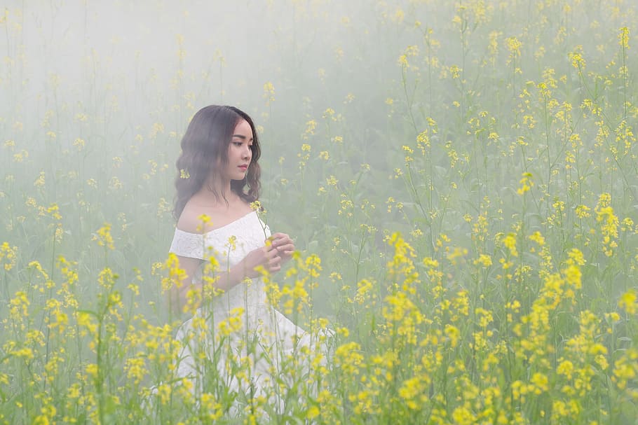 woman, surrounded, yellow, glowers, portrait, flower reform, girl, mist, one person, standing