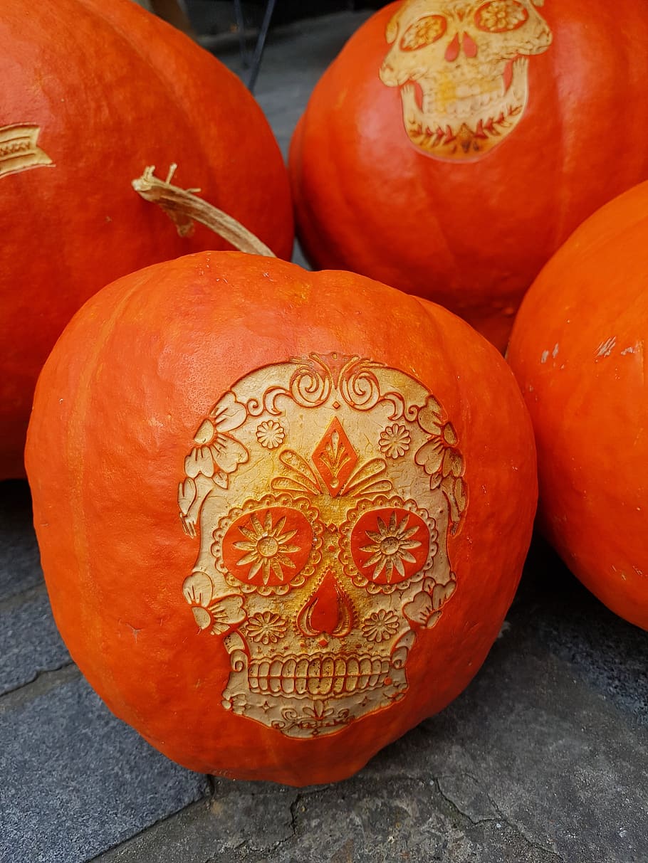 pumpkins, halloween, skull, autumn, gourd, deco, pumpkin decoration, pumpkins autumn, celebrate halloween, halloweenkuerbis