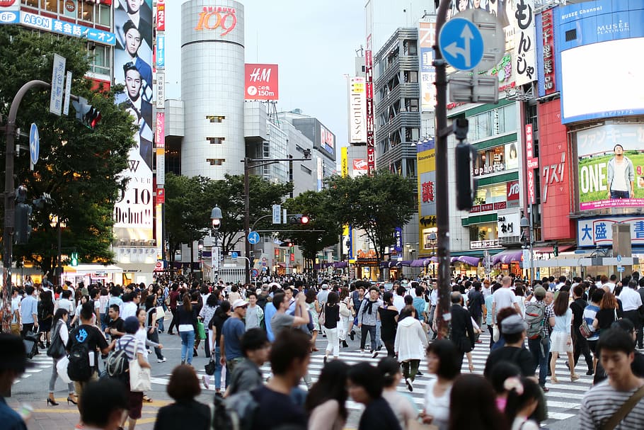 orang-orang, berjalan, pejalan kaki, jalur, kota, tokyo, pemandangan jalan, shibuya, jalan, humaniora