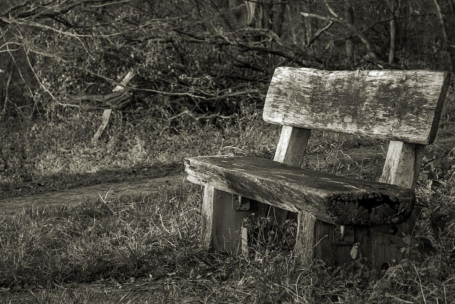 bank, forest, bench, nature, benches, rest, silent, wooden bench, wood - material, land