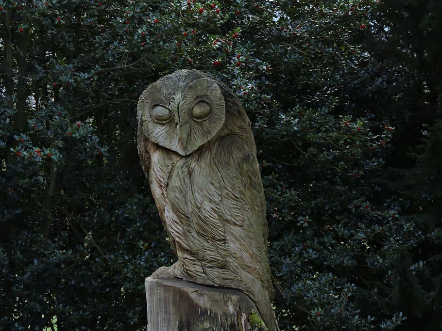 Owl, Wooden, Sculpture, wooden sculpture, bird, statue, figurine, symbol, carved, tree