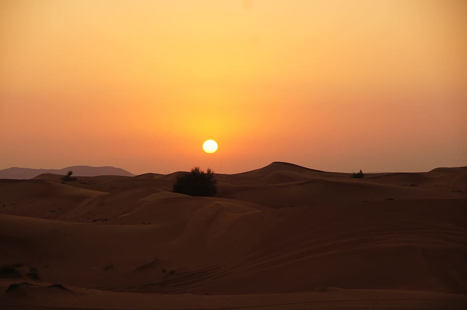 desierto, dorado, hora, dunas de arena, arena, sol, dunas, calor, puesta del sol, duna de arena