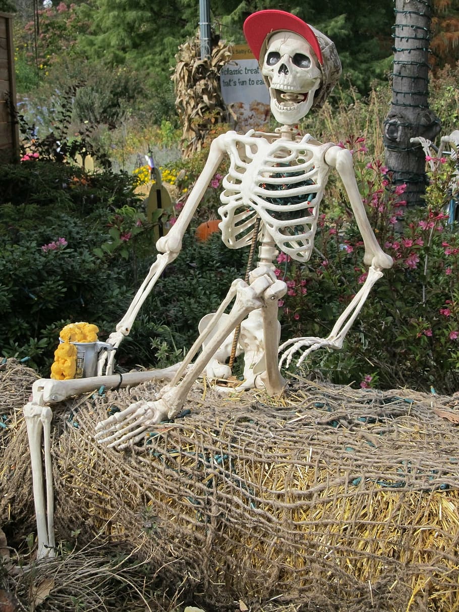 skeleton, prop, display, party, festive, fun, plastic, bones, human, cap
