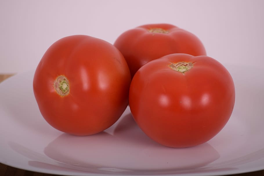 Tomato, Vegetable, Salad, Plate, Food, vegetable, salad, food and drink, healthy eating, fruit, red