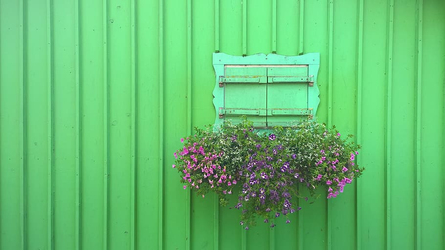 starnberger 참조, 셔터, 녹색, 꽃, 폐쇄, 외관, 오두막, 벽, 휴가, 창