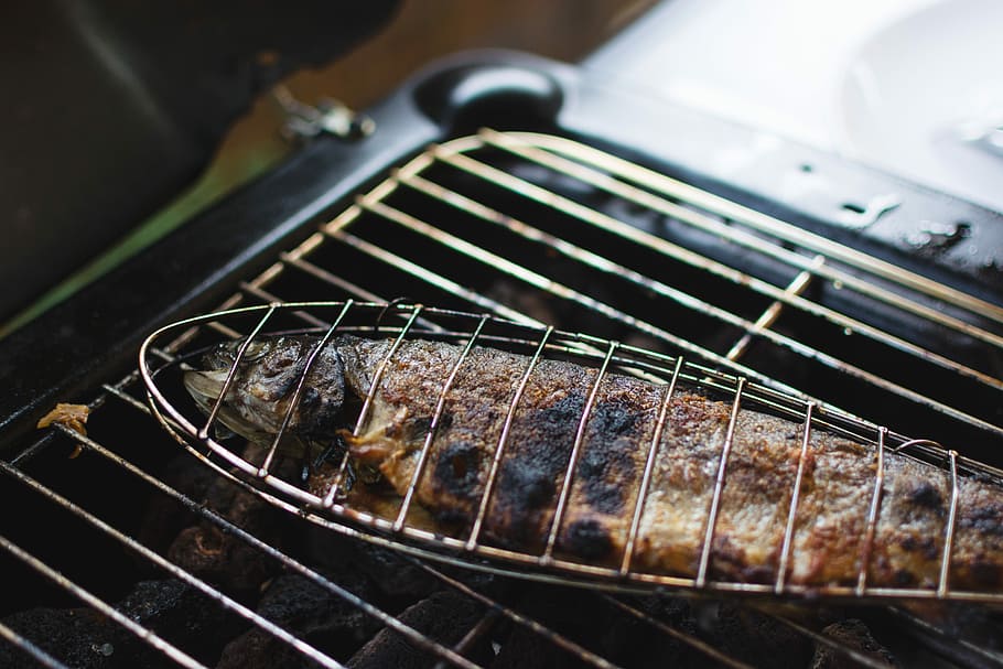 grilled fish, Grilled, fish, close up, grilling, barbecue Grill, food, cooking, barbecue, meat