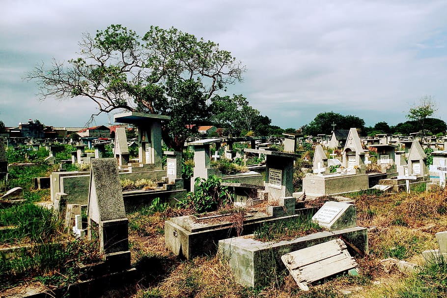 무덤, 묘지, 묘소, 묘비, 순례, 성소, 죽은, 묘, 건축물, 식물