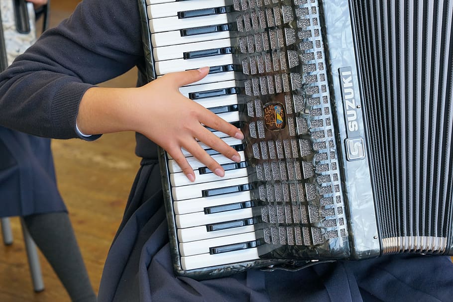 Music, Accordion, Performance, musical Instrument, musician, piano Key, piano, playing, entertainment, performer