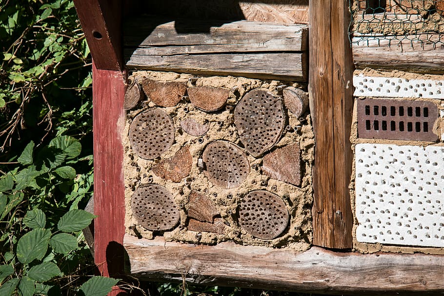 insect hotel, insect, insect house, insect protection measures, wood, bee hotel, perforated, insect box, breeding help, wood - material