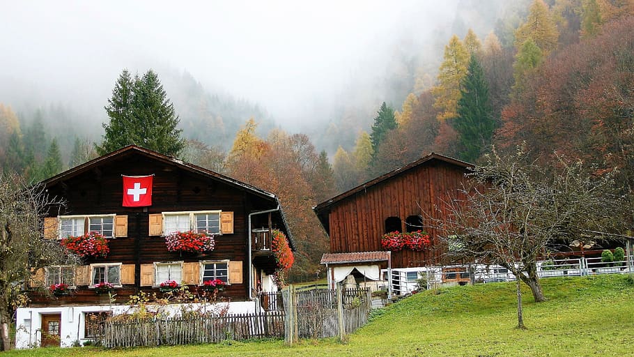 hut, wooden, alpine village, autumn, flag, mountain trails, figure, mountain village, haze, forest