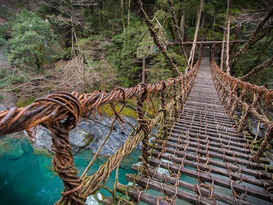 brown, hanging, bridge, body, water, kazura bridge, japan, nature, rope, forest