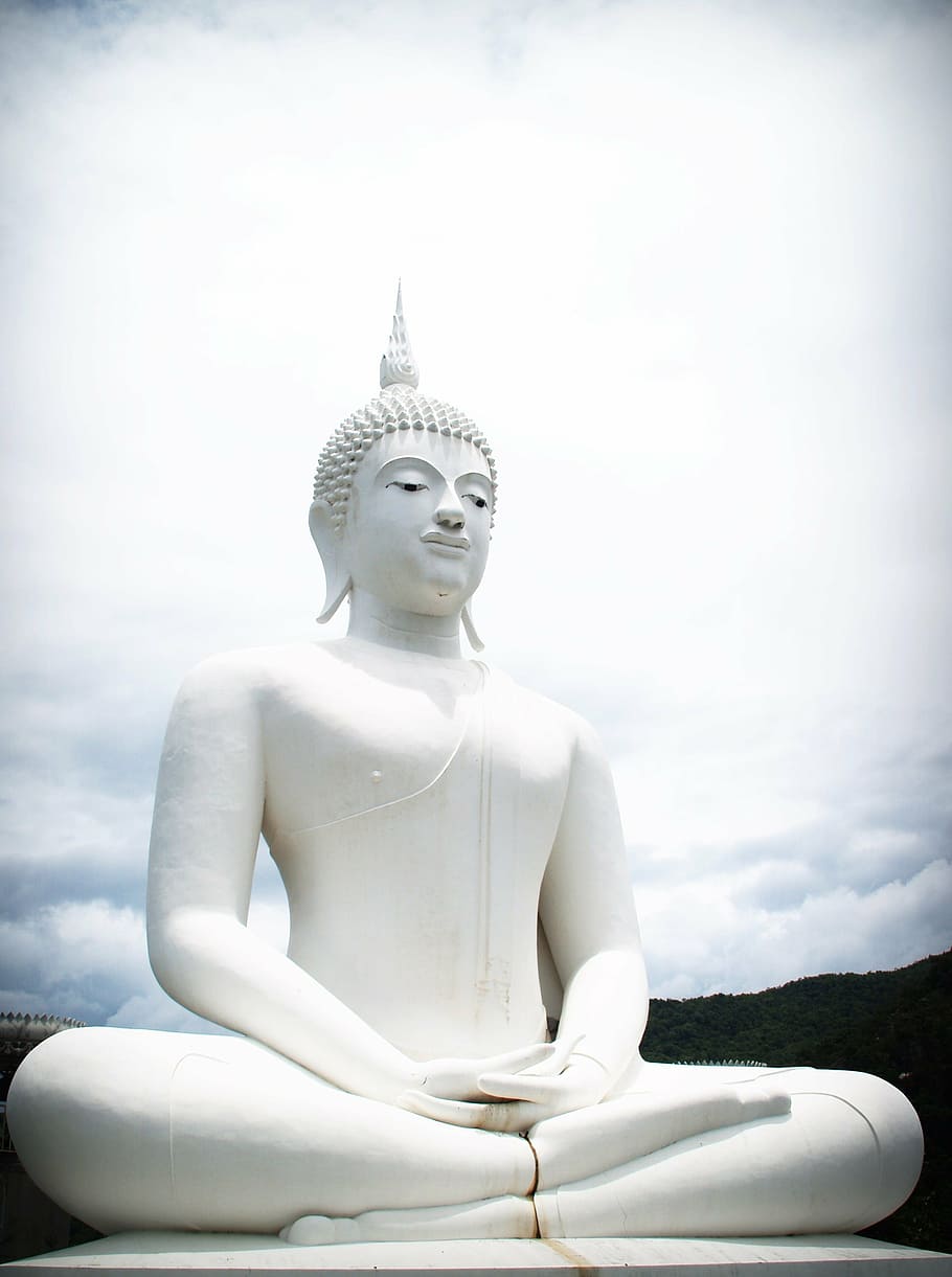 buda, índia, mente, oração, conceito, budista, budismo, postura, tailândia, meditando