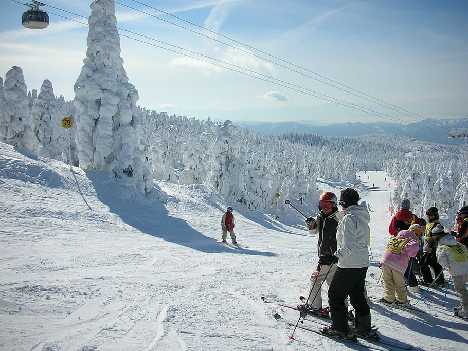 Zao Onsen, Resor Ski, Jepang, resor ski zao, salju, musim dingin, suhu dingin, olahraga musim dingin, ski, liburan ski
