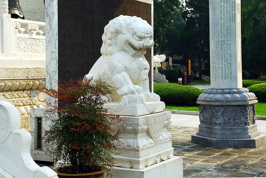 china, x'ian, xian, león, estatua, guardián, arte, representación, escultura, arte y artesanía