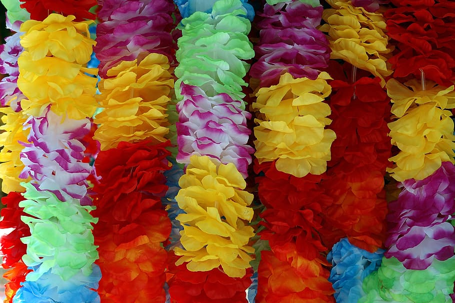 hawaiian lei, floral, vibrant colors, colorful, flower, vibrant, color, blossom, plant, garden
