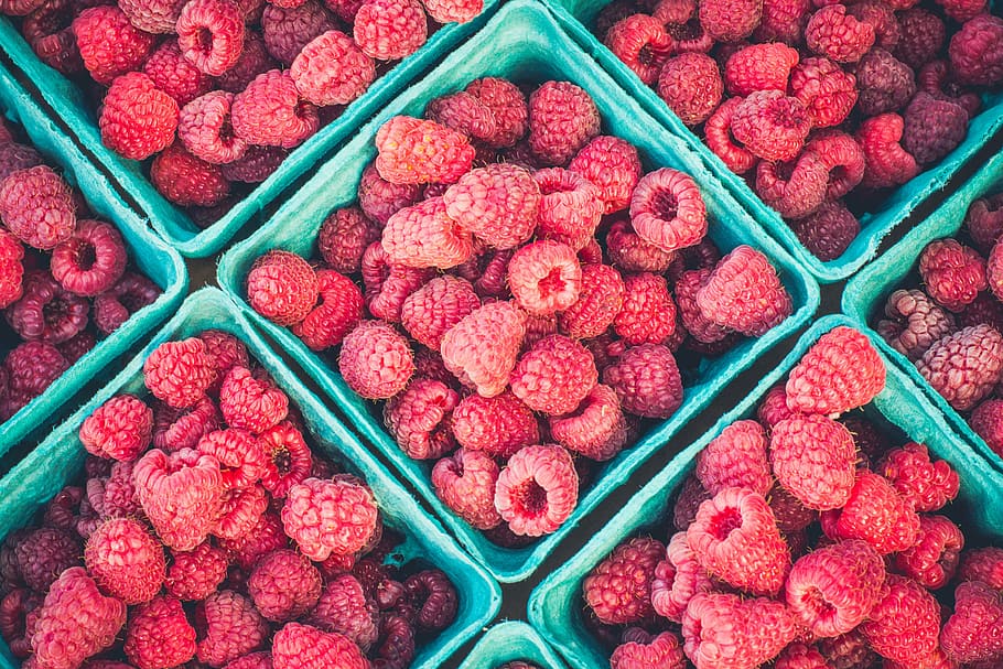 raspberries, teal container, raspberry, red, fruit, food, harvest, farm, basket, market