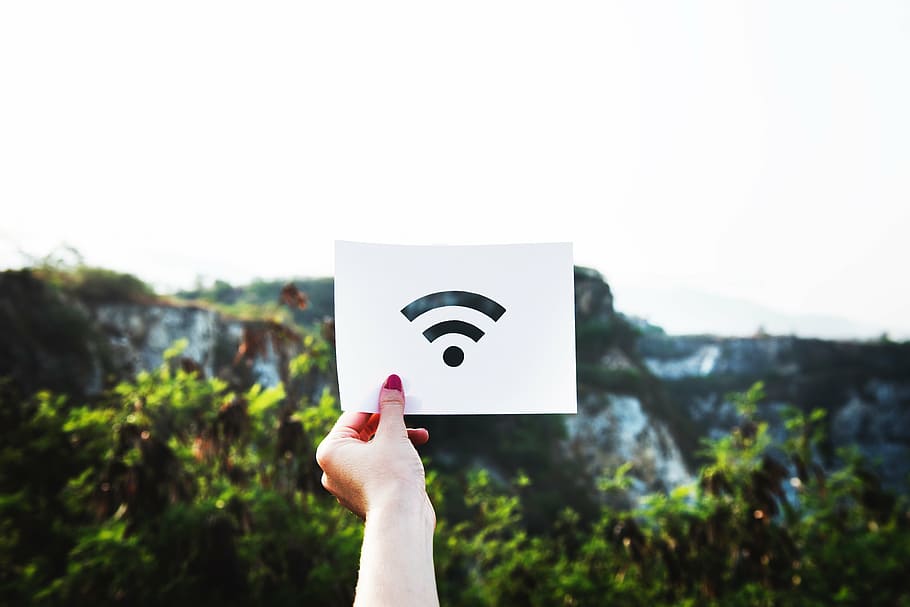 person, holding, wifi logo, printed, paper, nature, blur, wifi, logo, technology