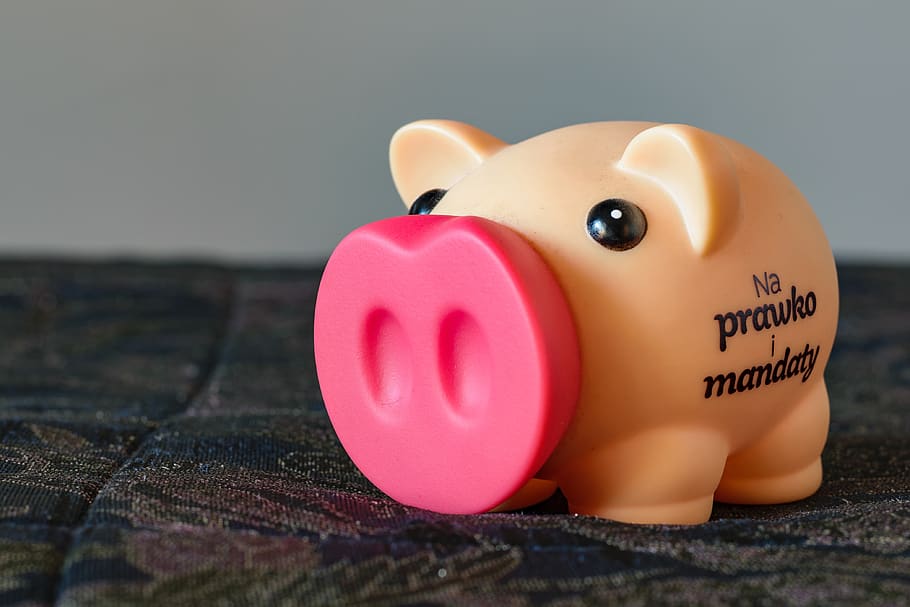 pig, piggybank, piggy, currency, the dollar, bank, prices, finance, coins, save