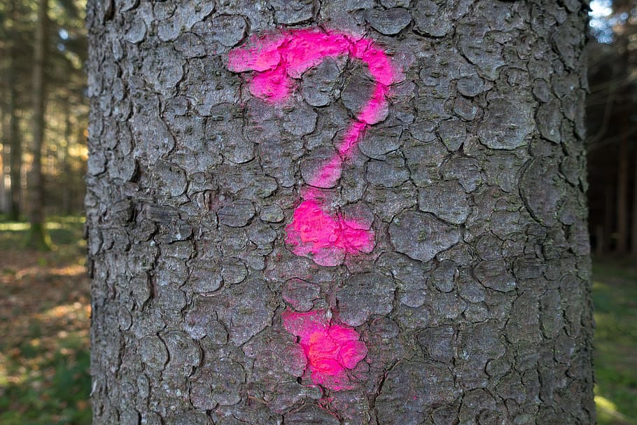 brown tree log, characters, question mark, communication, nonverbally, form, symbol, icon, tree, pink