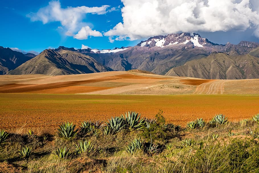 landscape photography, green, field, leading, snowy, mountain, cusco, bolivia, chiqun, landscape