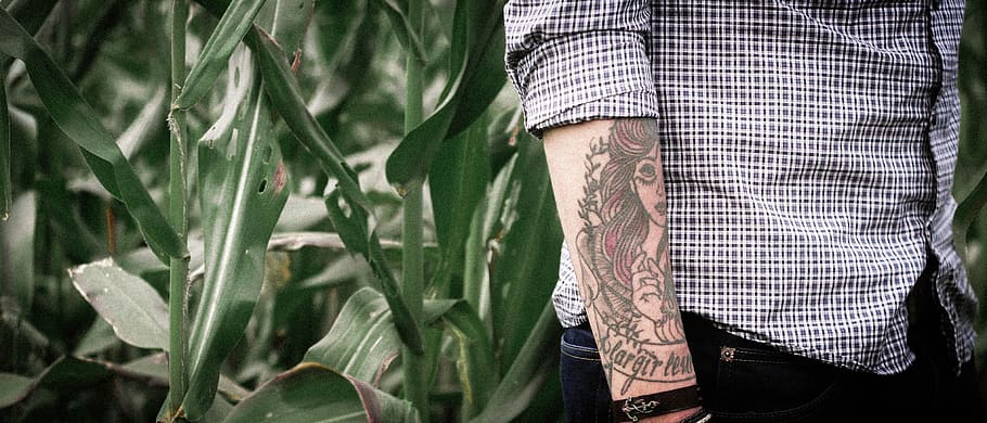 roupas, moda, homem, pessoas, tatuagem, arte, braço, verde, plantas, colheitas
