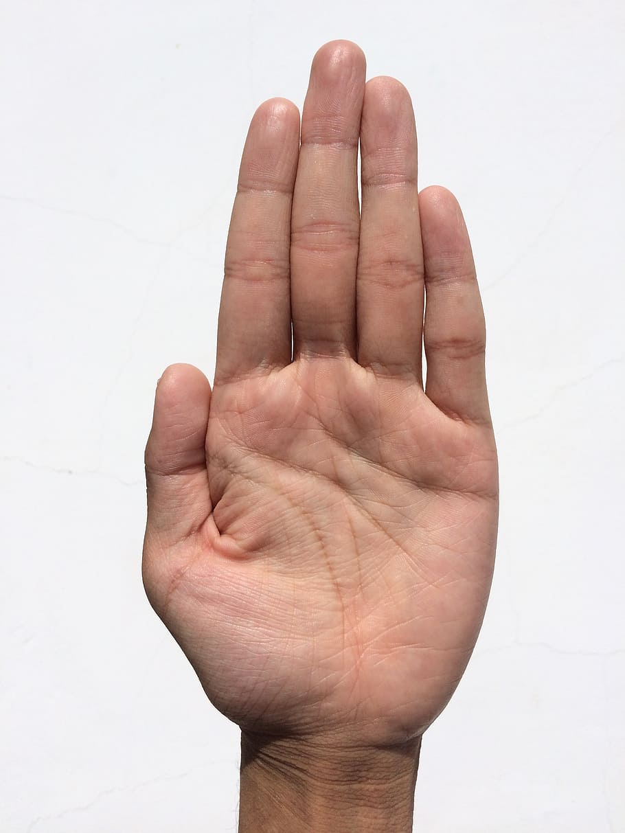 pessoa, levantando, esquerda, palma, mão, dedo, branqueamento, leitura de palma, jovem, japonês