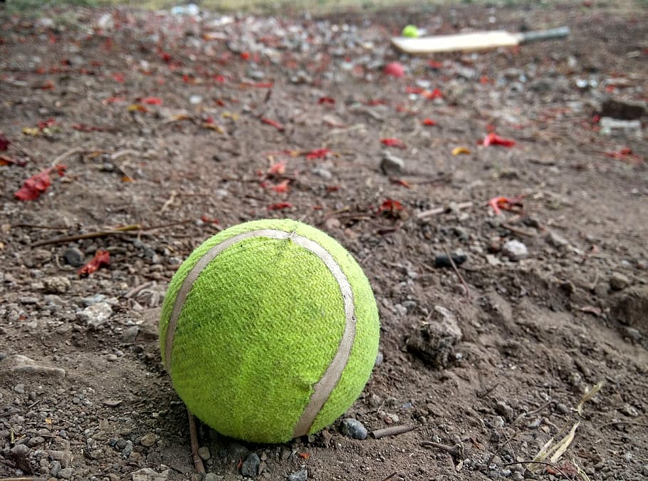 ball, tennis, sports, bat, ground, sport, tennis ball, land, day, green color
