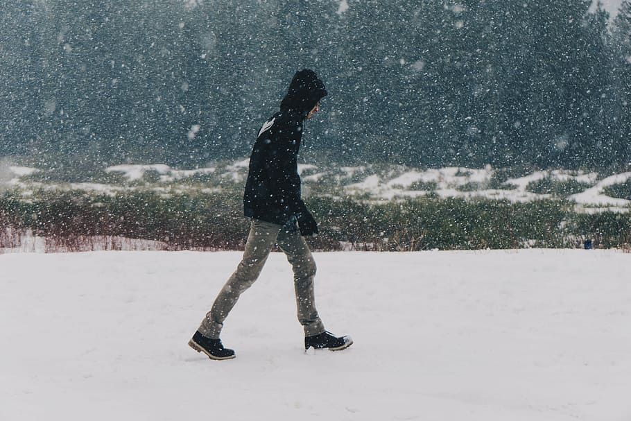 manusia, hitam, hoodie, berjalan, salju, tertutup, lapangan, orang, mengenakan, cuaca
