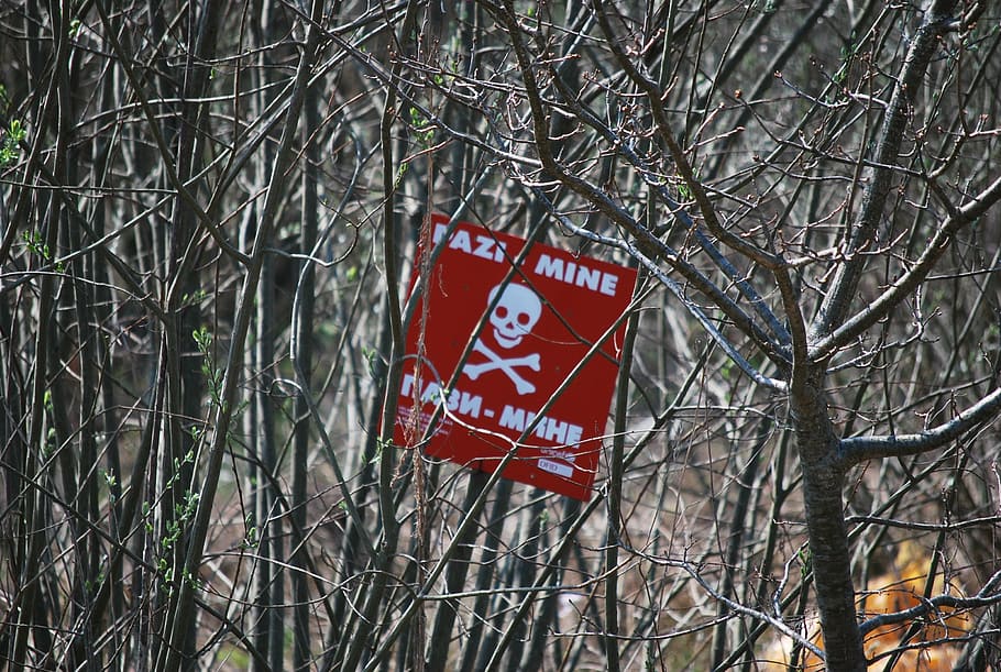branco, vermelho, sinalização dazi-mine, árvores, campo minado, minas, bósnia, rotulagem de minas, minas terrestres, warnschild
