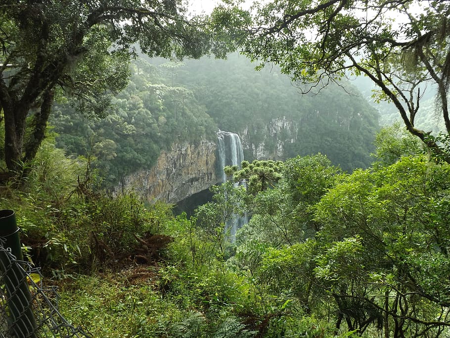 waterfalls, surrounded, trees, daytime, forest, waterfall, green, landscape, vegetation, mata atlantica