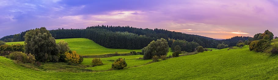 panorama, foto, rumput, pohon, lanskap, bavaria, matahari terbenam, senja, indah, hijau