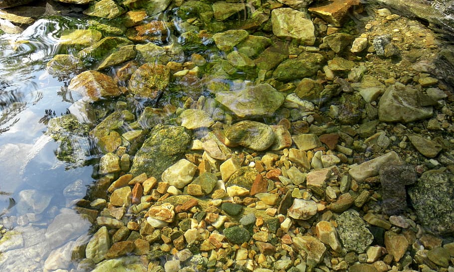 nature, plants, leaf, silage, stone, gravel, streams, water, wave, the creek