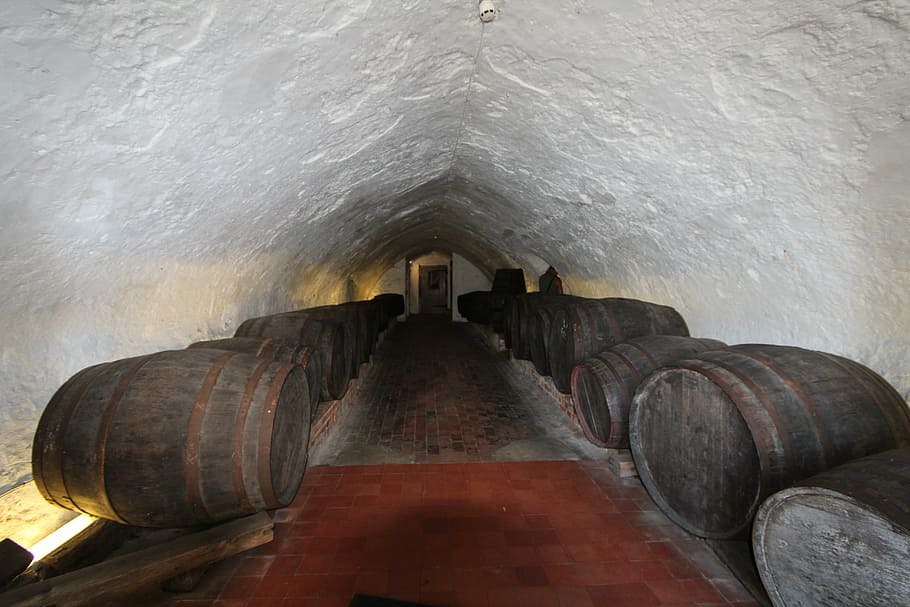 cellar, vault, catacomb, barrels, underground, barrel, cylinder, wine cellar, industry, motion