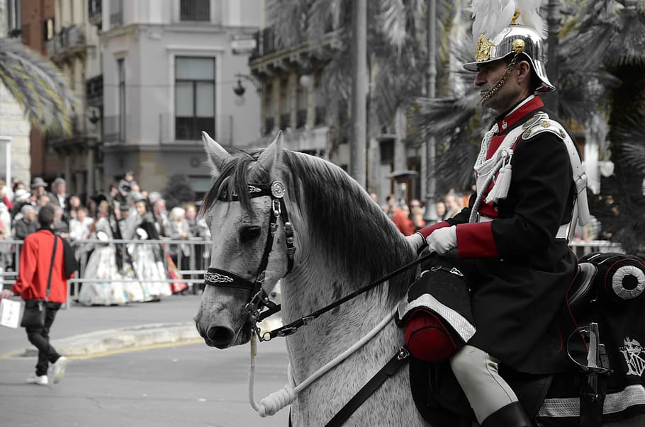 Parties, Horse, Rider, Valencia, Show, horse, rider, royal guard, failures, tradition, riding
