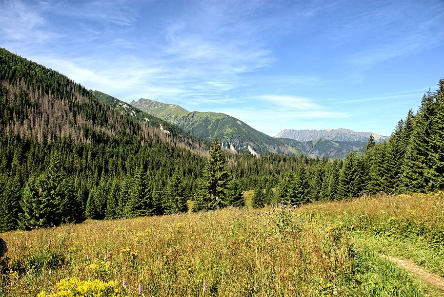 tatry, slovakia, landscape, top view, mountains, view, nature, mountain, sky, tourists valley koperszadów