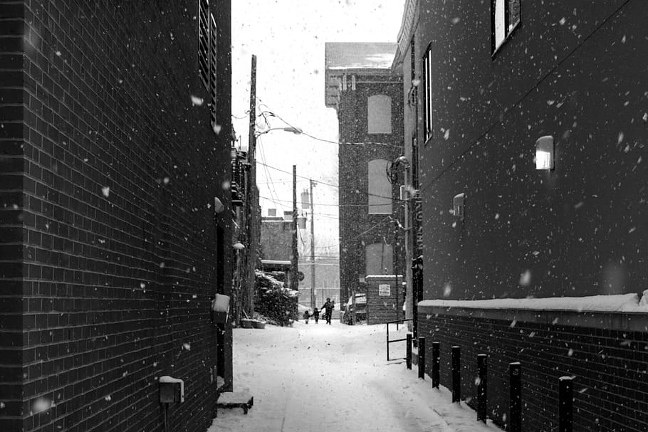 salju, musim dingin, putih, dingin, cuaca, es, orang, perkotaan, kota, apartemen