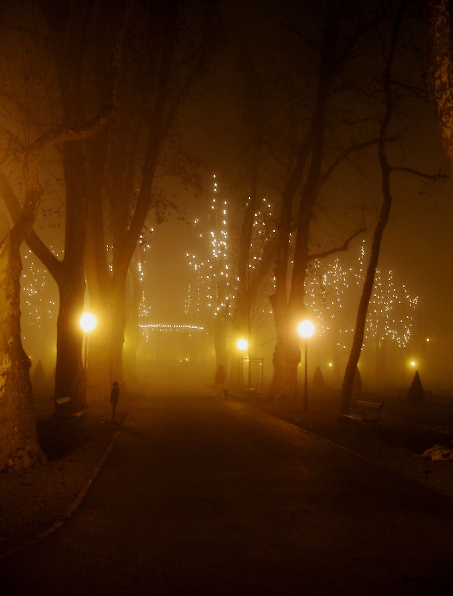 winter, fog, park, decorative, lamps, lights, diffused, night, illuminated, street