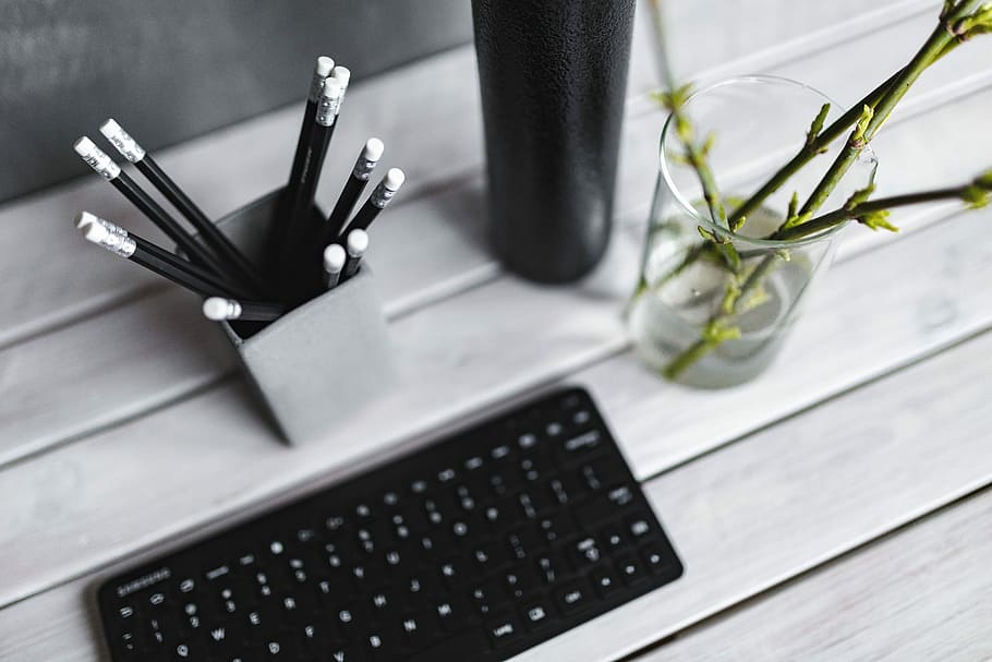 black, keyboard, pencils, white, table, bottle, plant, wood - Material, desk, office