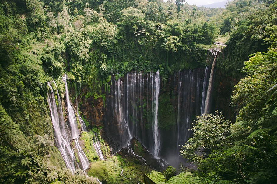 waterfall, tumpaksewu, malang, indonesia, java, eastjava, nature, water, lake, landscape