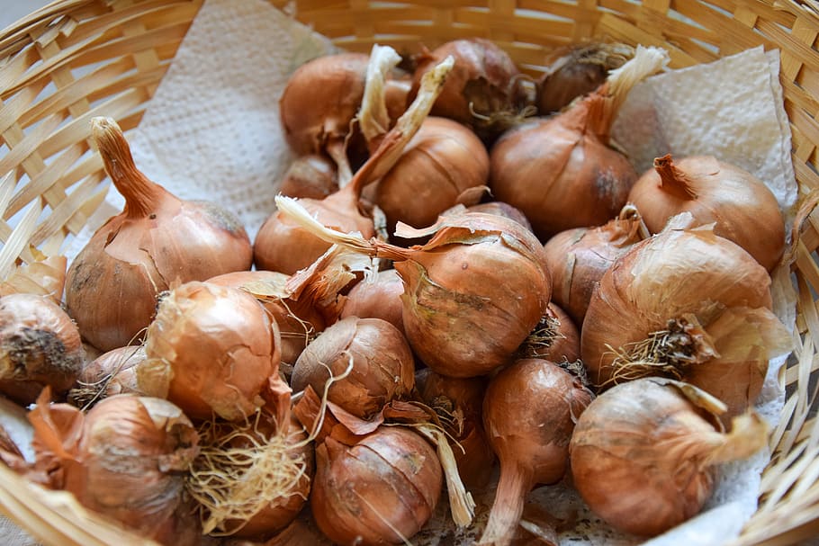 shallots, spices, kitchen, basket, harvest, food, food product, recycle bin, food and drink, wellbeing