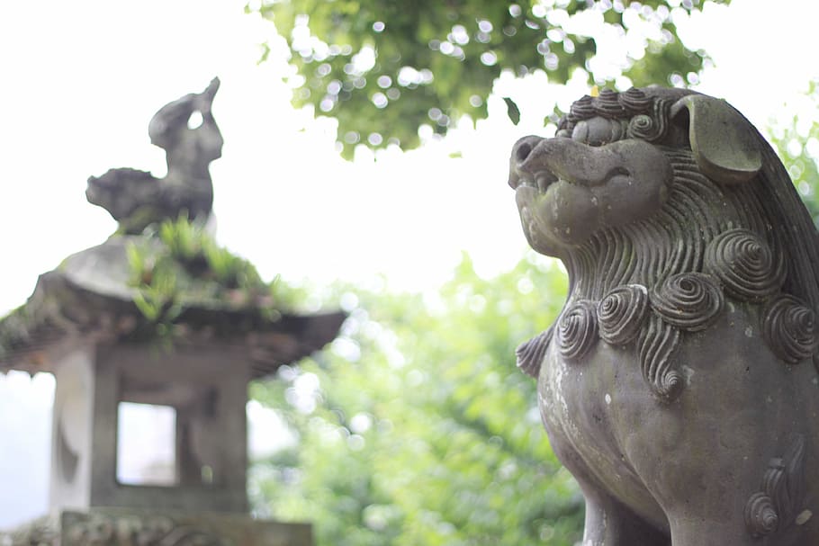 japan, fukuoka, dazaifu, guardian lion-dog at shinto shrine, guardian dogs, shrine, stone statues, art and craft, representation, sculpture