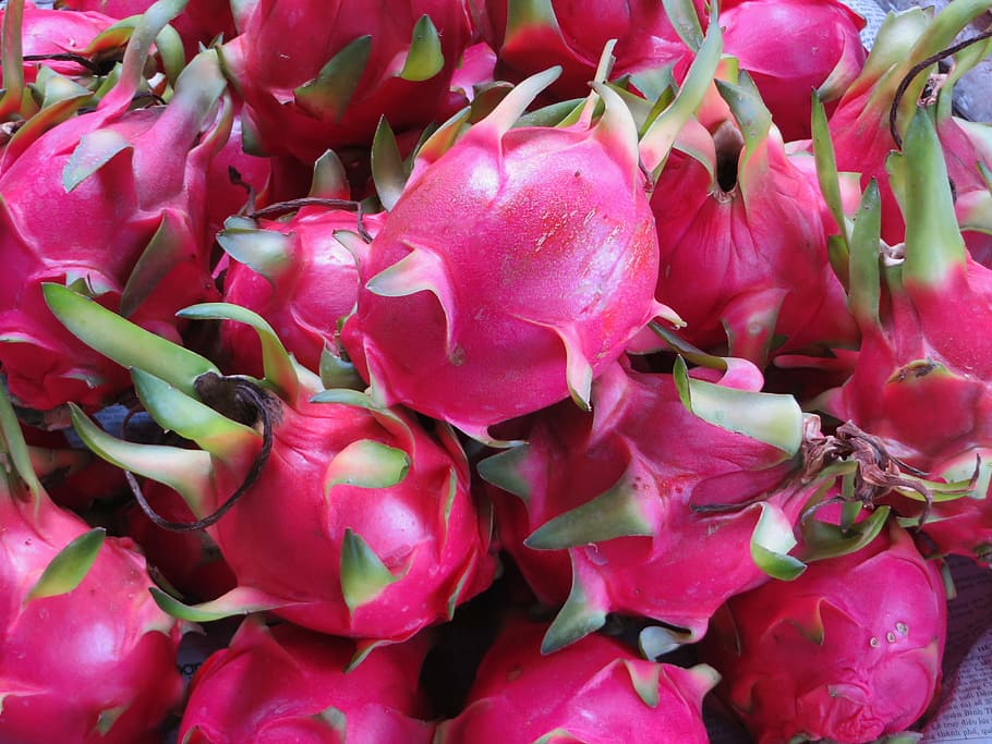 dragon fruit lot, viet nam, market, the dragon fruit, pink, exotic, freshness, full frame, close-up, beauty in nature