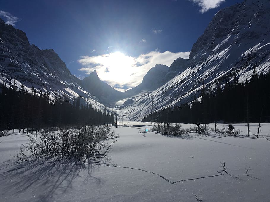 Canmore, Snow, Shoeing, Canada, snow, shoeing, rocky, landscape, winter, nature, mountain